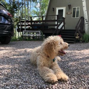 Meet your Posher, Sam